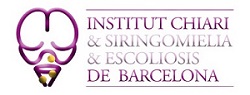 logo icseb